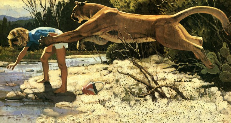 mountain lion attack