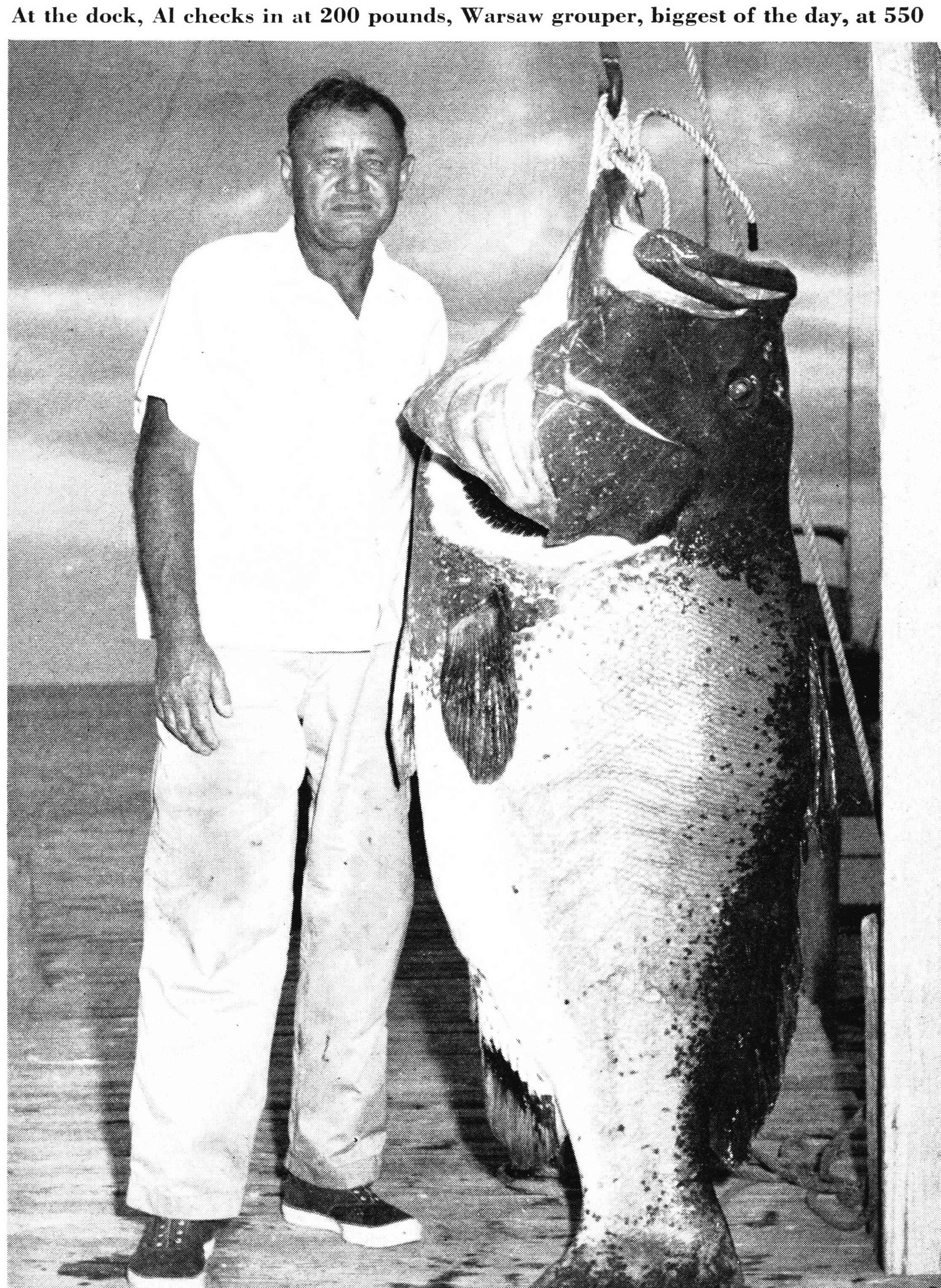 grouper fishing