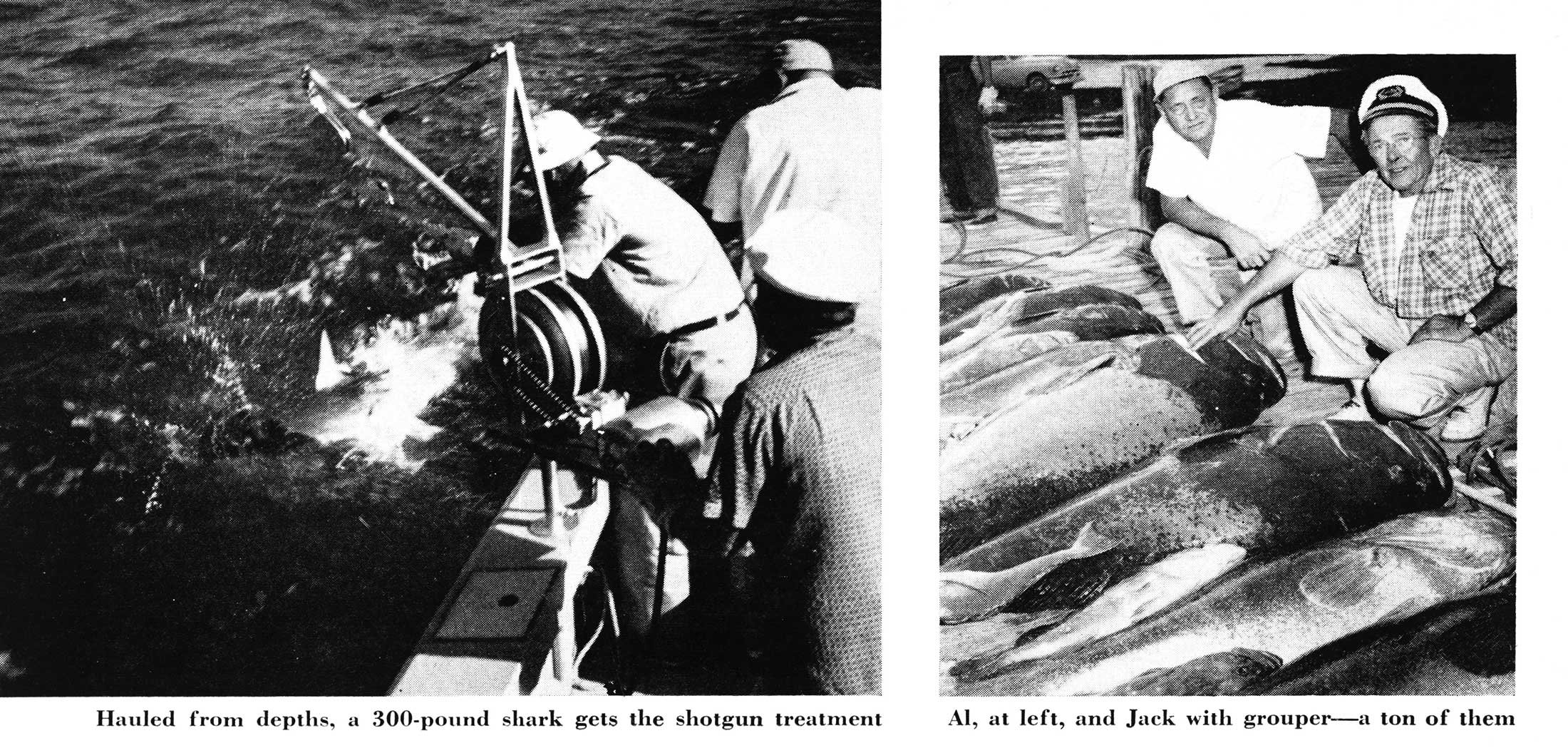 grouper fishing