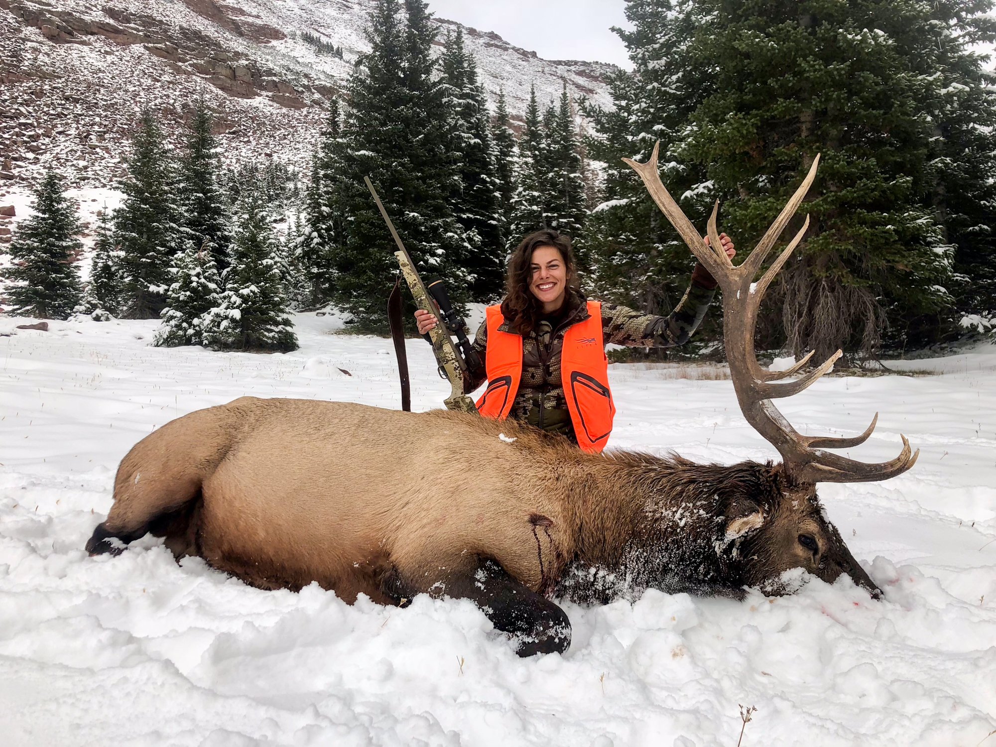 An elk taken with a 6.5 creedmoor at 