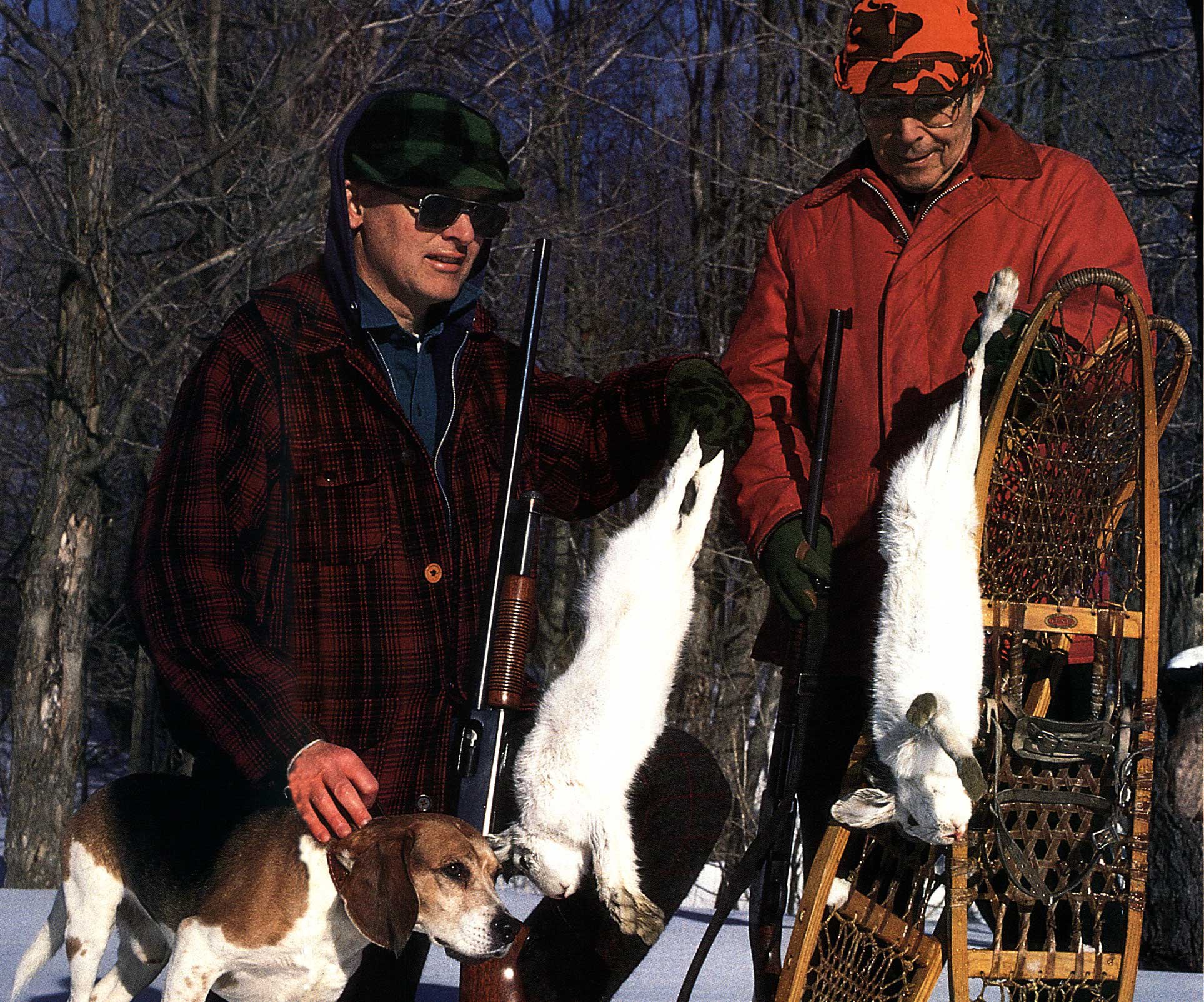 snowshoe hare hunt