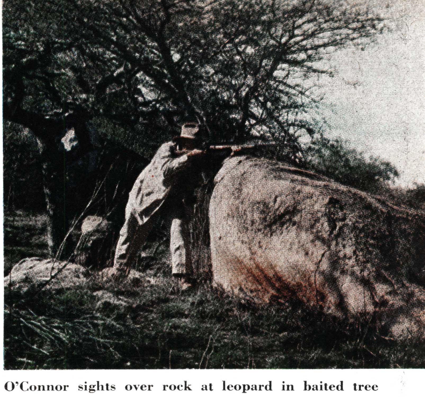africa hunt jack o'connor