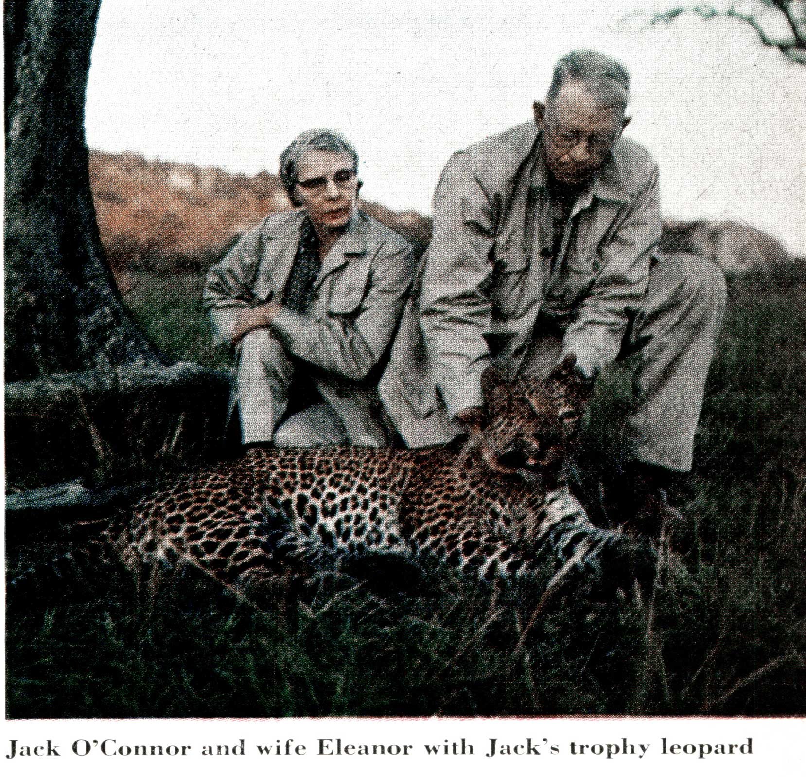 jack o'connor leopard