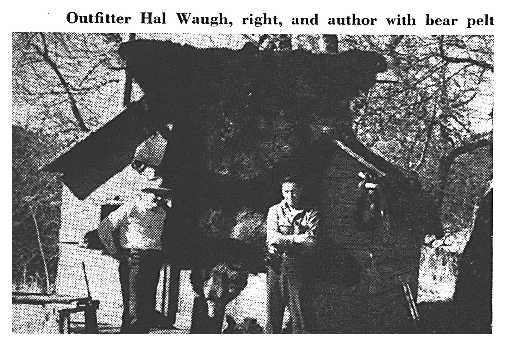 Black-and-white photo of two men standing beneath a huge brown bear pelt draped over the roof of a small wooden shed.