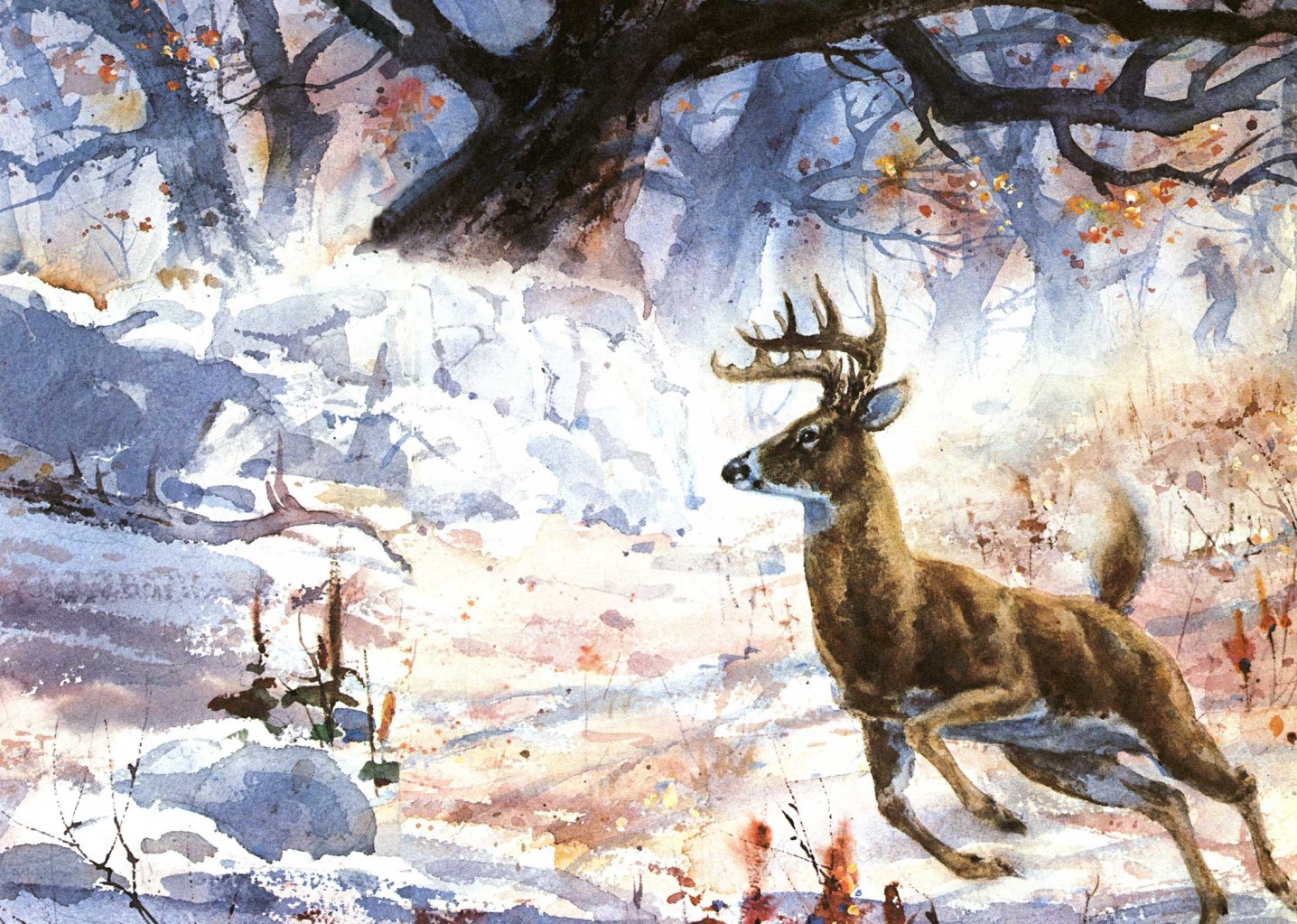 hunter stalks a deer illlustration