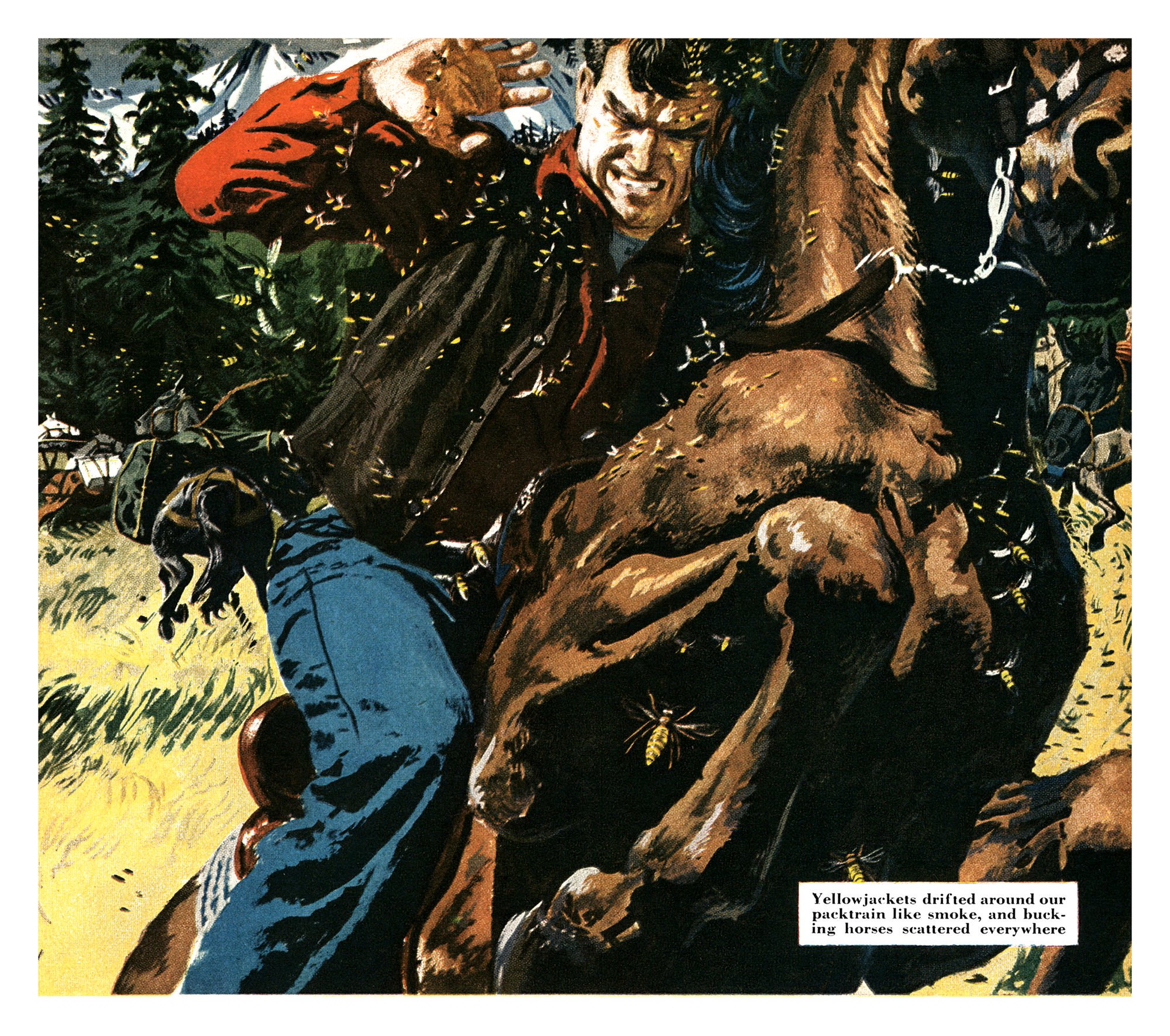 Vintage painting of a hunter shielding his face from a swarm of yellowjackets while a brown horse bucks beside him on a pack trail.