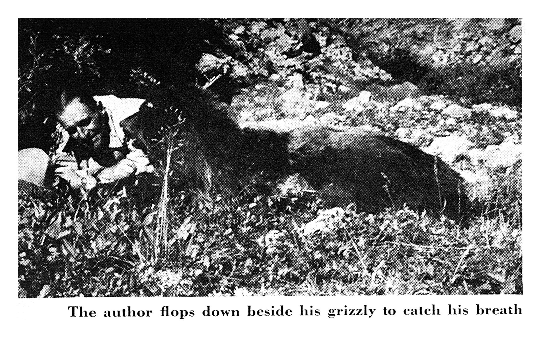 Black-and-white photo of a hunter lying in brush beside a dead grizzly bear.