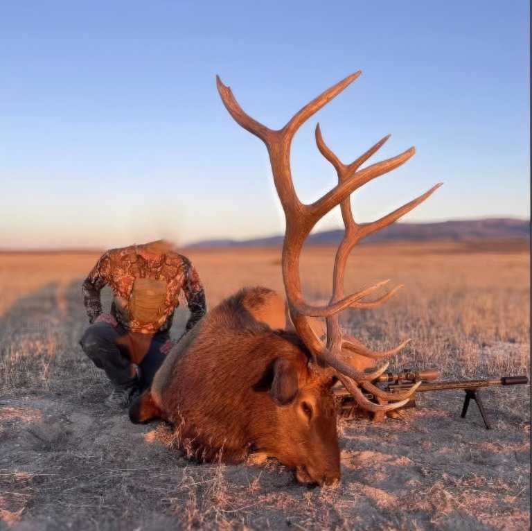 A photo of a bull elk taken illegally in Utah.