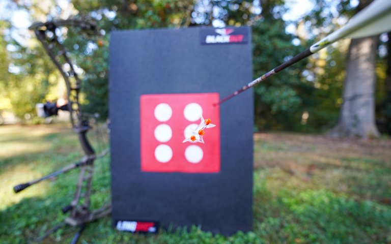 archery target